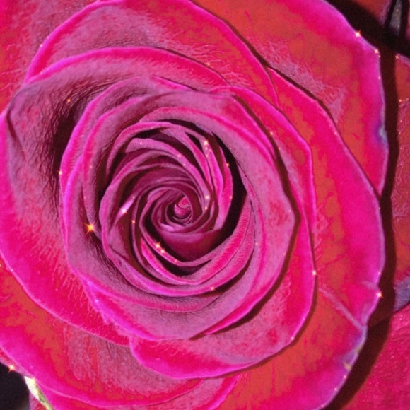 Meet your Posher, Sarah - Picture 1 of 1